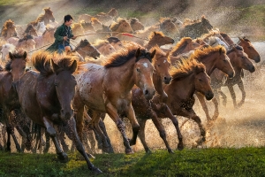 Salon.Photo Bronze Medal